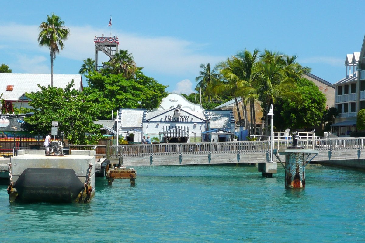 Key West Aquarium - Gallery Image 3